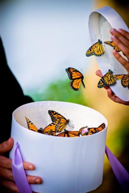 Butterfly Wedding Ideas That Will Make Your Heart Skip a Beat