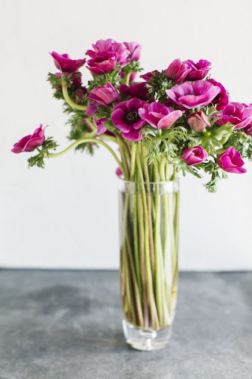 Anemones on a tall vase. Beautiful and elegant and simple to do.