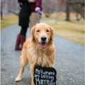 Remember to book your photo engagement session. Riverside Park, Lynchburg, Va. April B Photography.