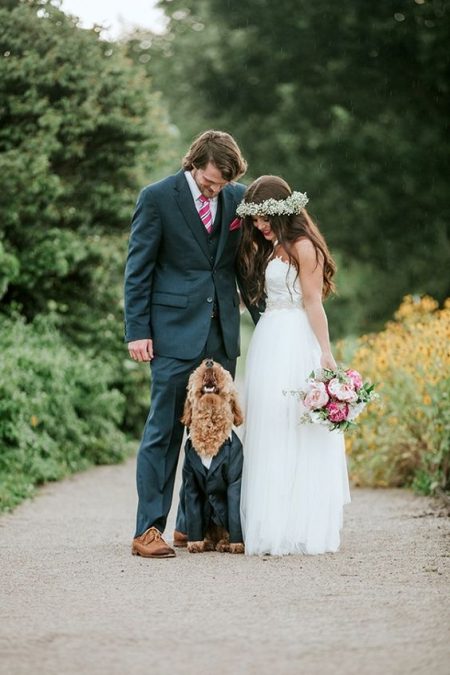 This handsome Goldendoodle steals the shot. Moira Photography.