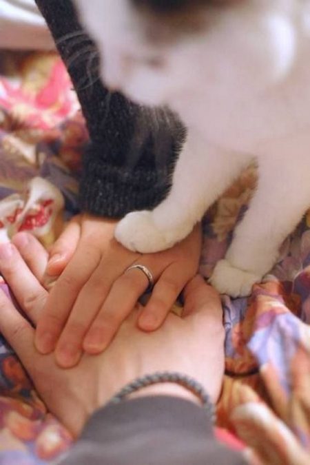 Paw of approval. This is one of the cutest wedding photos I have ever seen.