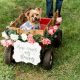 Un adorable atuendo y un carrito adornado con flores es todo lo que precisas para incluir a tus mascotas en tu boda. Megan Kay Photography. North Texas.