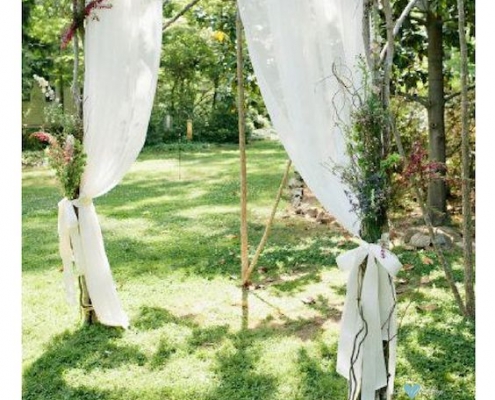 A simple arch made with white birch branches, fabric and dried flowers.